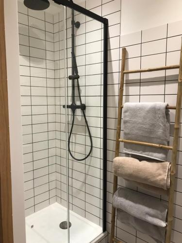 La salle de bains est pourvue d'une douche vitrée. dans l'établissement Studio plein centre ville, à Ajaccio