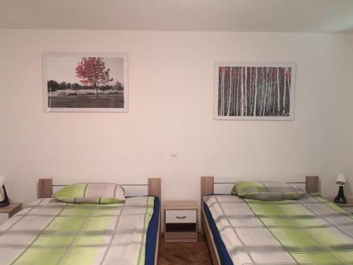 Un pat sau paturi într-o cameră la Apartma Logar