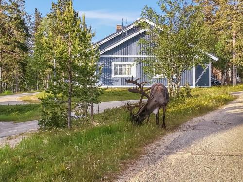 サーリセルカにあるHoliday Home Tunturikuksa by Interhomeの道路横の芝生に立つ鹿