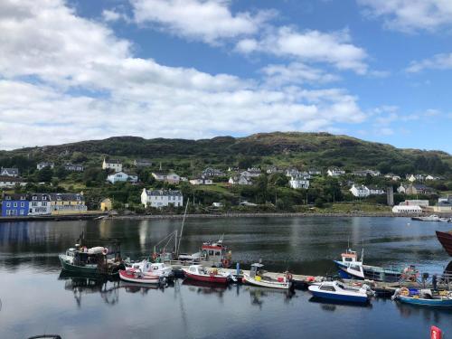 a group of boats docked in a body of water at Islay Frigate Hotel in Tarbert