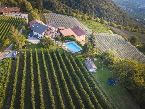 an aerial view of a house with a vineyard at Lamberthof in Montagna