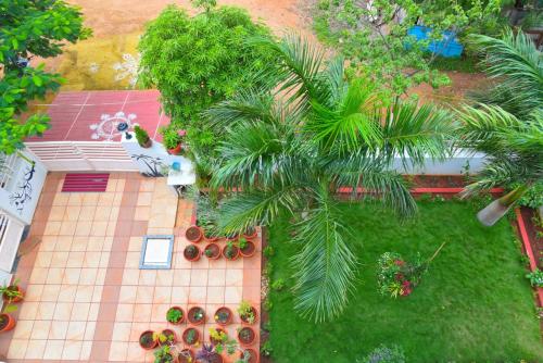 an overhead view of a garden with a palm tree at Arjun Homestay in Hampi