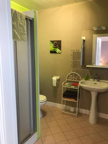 une salle de bain avec toilettes et lavabo dans l'établissement Chez Sylvie et Thierry, à Royer