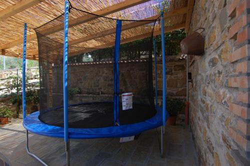 Imagen de la galería de Agriturismo Tempa del Niglio, en Ascea