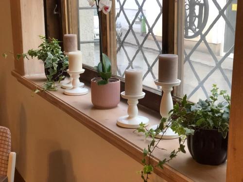 a window sill with candles and plants on it at Hotel zur Post in Gumpoldskirchen