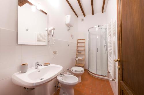 ein Bad mit einem Waschbecken, einem WC und einer Dusche in der Unterkunft Torre nel Chianti in Greve in Chianti