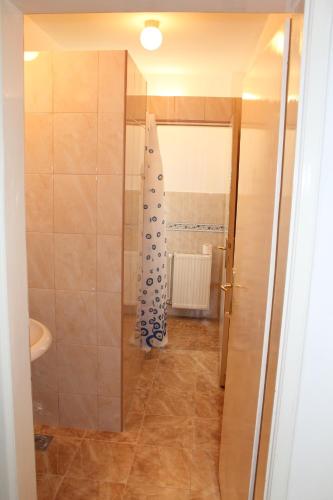 a bathroom with a shower and a sink at Hostel Teresianum in Aleksinac