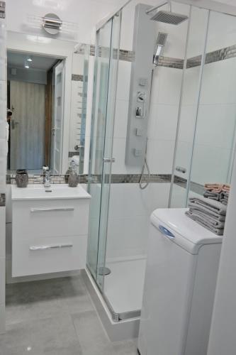 ein Bad mit einer Dusche, einem WC und einem Waschbecken in der Unterkunft Apartament Bema in Białystok