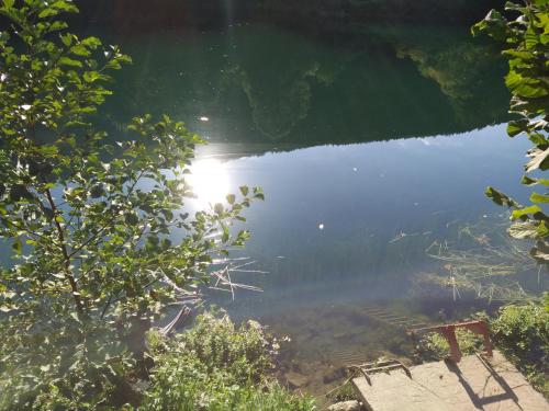 a view of a body of water with trees at Seosko domacinstvo Halil & Alema in Ćukovi
