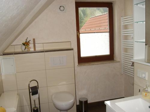 baño con aseo y ventana en Ferienwohnung Nüssleshof, en Fambach