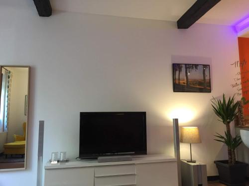 Μια τηλεόραση ή/και κέντρο ψυχαγωγίας στο L appartement du parc