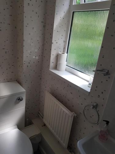 a bathroom with a toilet and a sink and a window at Victoria Lodge in Shanklin