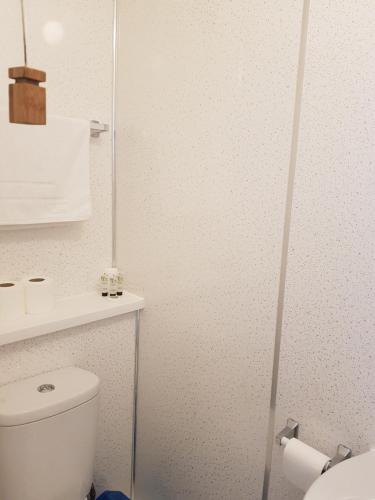 a white bathroom with a toilet and a shower at Victoria Lodge in Shanklin