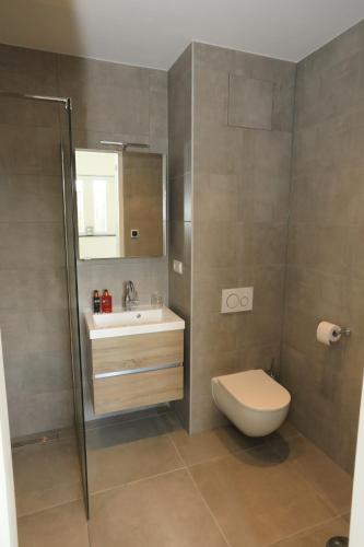 a bathroom with a toilet and a sink and a shower at B&B De Zwanebloem in Amsterdam