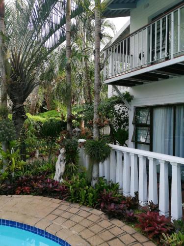a cat sitting in a garden next to a house at St. Lucia Wetlands Guest House in St Lucia