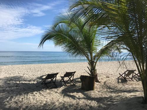 two chairs under a palm tree on the beach at Playa Pikua Ecolodge in Guachaca