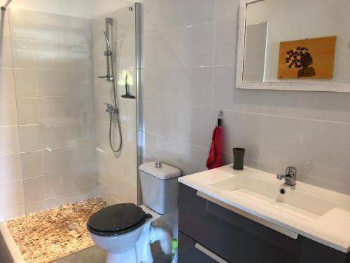 e bagno con servizi igienici, lavandino e doccia. di Appartement Shenandoah a Sainte-Anne