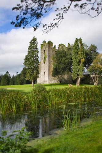 an old castle in a field next to a pond at Castlemartyr Resort Hotel in Castlemartyr