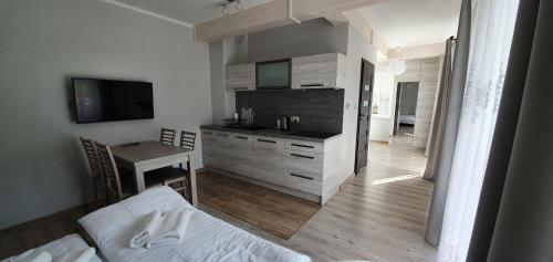 Kuchyň nebo kuchyňský kout v ubytování Apartamenty pod Czyrną