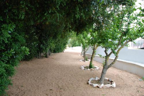 a row of trees on a dirt road at Hotel Rural Quinta de Santo Antonio in Elvas