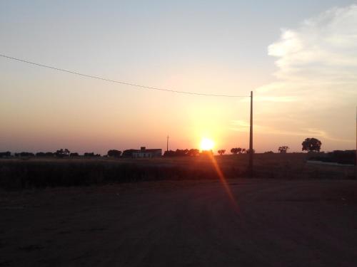 a sunset in a field with a telephone pole at Hotel Rural Quinta de Santo Antonio in Elvas