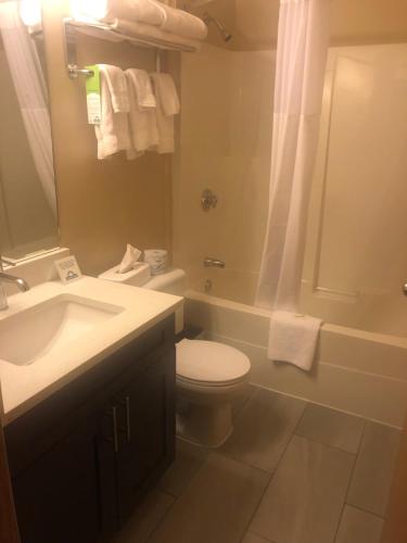 a bathroom with a toilet and a sink and a shower at Days Inn by Wyndham Hinton in Hinton