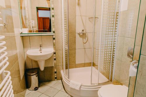 a bathroom with a shower and a sink and a toilet at Pensjonat Jurkowski Wellness & Spa in Ochotnica Dolna