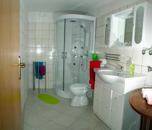 a bathroom with a shower and a toilet and a sink at Soča House Tolmin in Tolmin