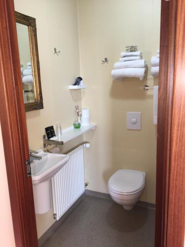 ein Badezimmer mit einem Waschbecken, einem WC und einem Spiegel in der Unterkunft Hotel Vogar in Vogar