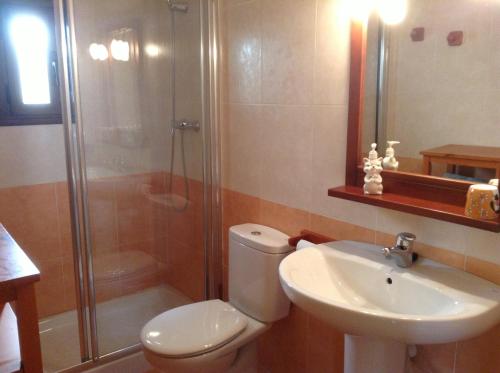 a bathroom with a shower and a toilet and a sink at Casa Carpintero in Torla-Ordesa