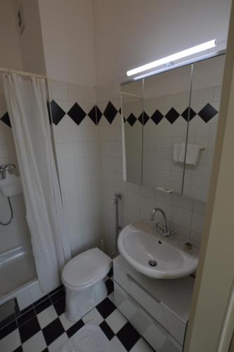 ein Badezimmer mit einem WC, einem Waschbecken und einem Spiegel in der Unterkunft Apartment Penzing in Wien