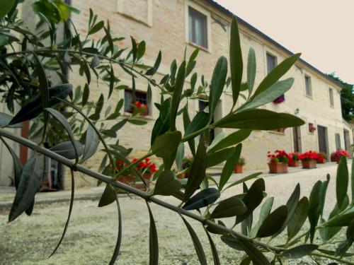 a plant in front of a building with red flowers at All'ombra degli Ulivi B&B in San Marcello