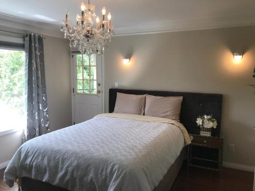 a bedroom with a large bed and a chandelier at Royalty B&B in Richmond