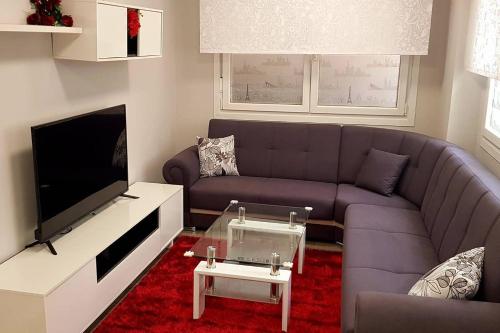 a living room with a purple couch and a tv at LAIA HOME GARAJE Y WIFI in Barakaldo