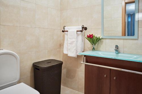 ein Badezimmer mit einem Waschbecken, einem WC und einem Spiegel in der Unterkunft Casa da Sobreira in Sobral de São Miguel