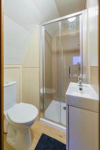 a bathroom with a toilet and a shower and a sink at Farmyard Lane Glamping in Killarney