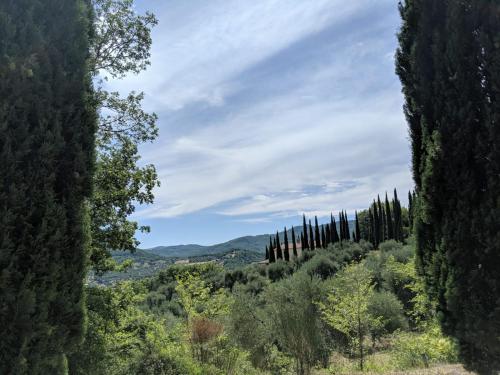 La Banditaccia – Photos 5
