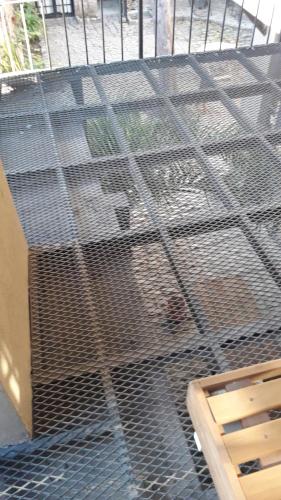 a cage with a dog sitting on top of it at LA CASITA in Buenos Aires