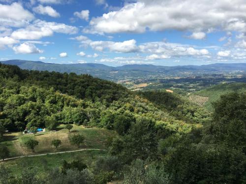 Φυσικό τοπίο κοντά σε αυτό το διαμέρισμα