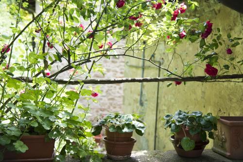 Κήπος έξω από το Apartment le scalette a relaxing oasis near Florence