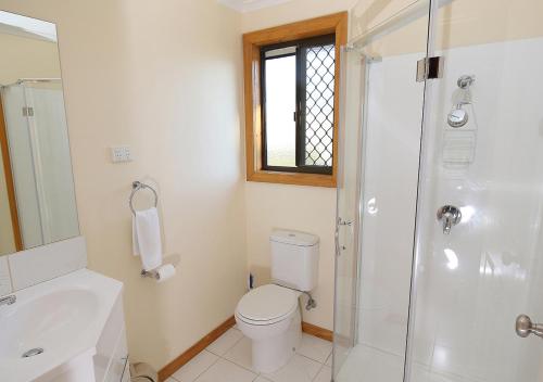 a bathroom with a toilet and a sink and a shower at Beauty Point Tourist Park in Beauty Point