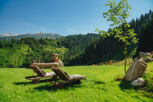 two chairs sitting in a field of green grass at Almchalet Linharterhof in Haus im Ennstal