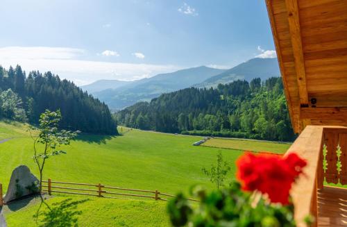 a room with a view of a green field and mountains at Almchalet Linharterhof in Haus im Ennstal