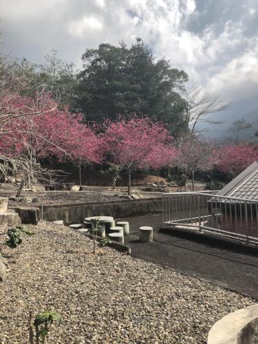 Ein Garten an der Unterkunft Dongguang Zhixing Homestay