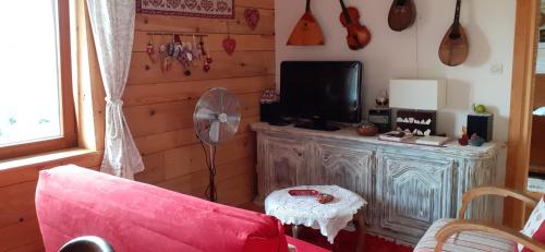 a living room with a red couch and a tv at Les Lupins in Geishouse