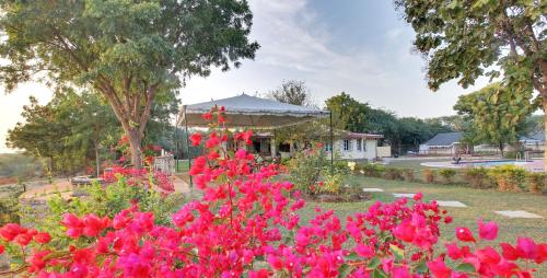 Κήπος έξω από το Bhadrawati - A Riverside Safari Lodge Ranthambore