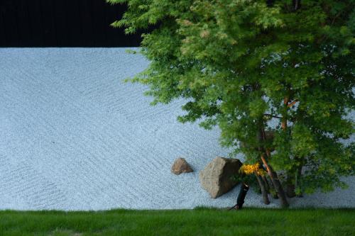 a tree with a rock in front of a lake at modern ryokan kishi-ke in Kamakura