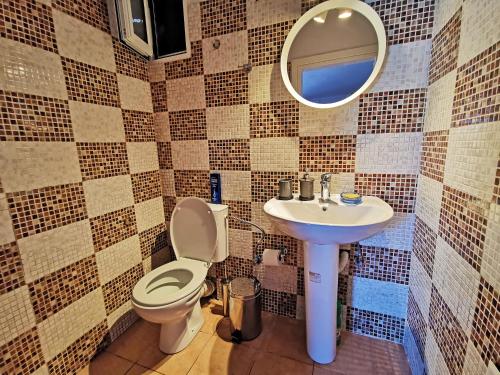 La salle de bains est pourvue d'un lavabo, de toilettes et d'un miroir. dans l'établissement Anaroussa Diros Apartment, à Areópoli