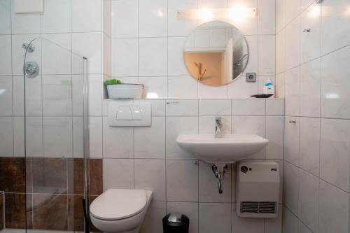 a bathroom with a toilet and a sink and a mirror at Apartment Schwarz Waldperle in Bad Herrenalb