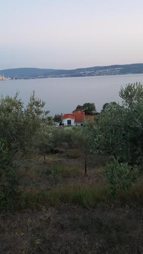 a house on the shore of a large body of water at Sea View Apartments Debeli Rtič in Ankaran